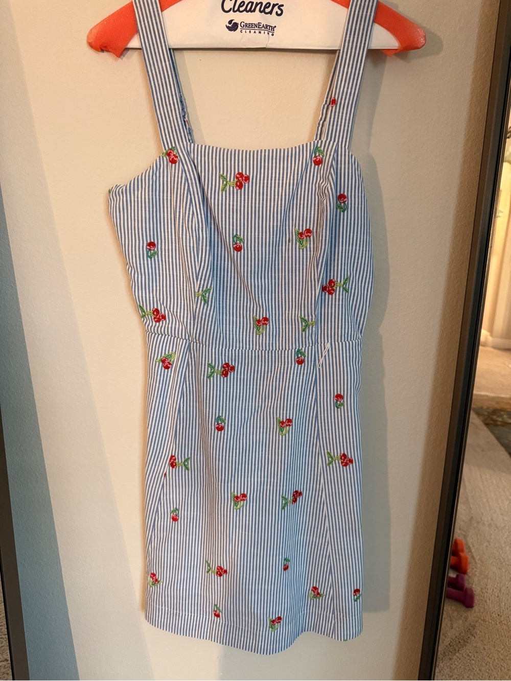 Draper James Blue-and-White Striped Dress with Red Cherry Embroidery